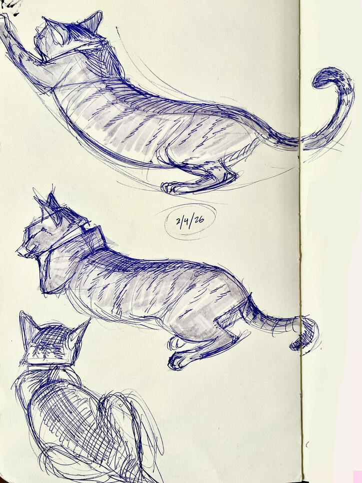 Untitled Untitled